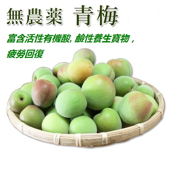 有機梅子養生酵素 organic plum enzyme | 天資養生保健專門店